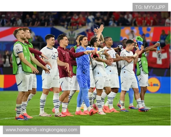 欧洲杯比赛中使用的新型统计指标引发行业关注，欧洲杯比赛技术统计